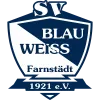 SV Blau Weiß 1921 Farnstädt III