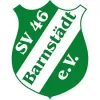 SV 46 Barnstädt