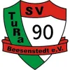 SV TuRa 90 Beesenstedt II